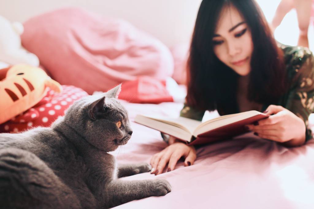 Imagem mostra o tronco de uma mulher de cabelos escuros deitada de bruços na cama lendo um livro e fazendo carinho em um gato cinza.