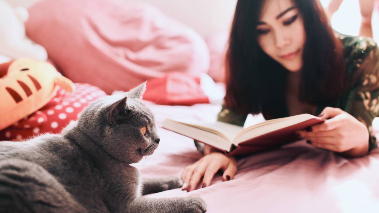 Imagem mostra o tronco de uma mulher de cabelos escuros deitada de bruços na cama lendo um livro e fazendo carinho em um gato cinza.