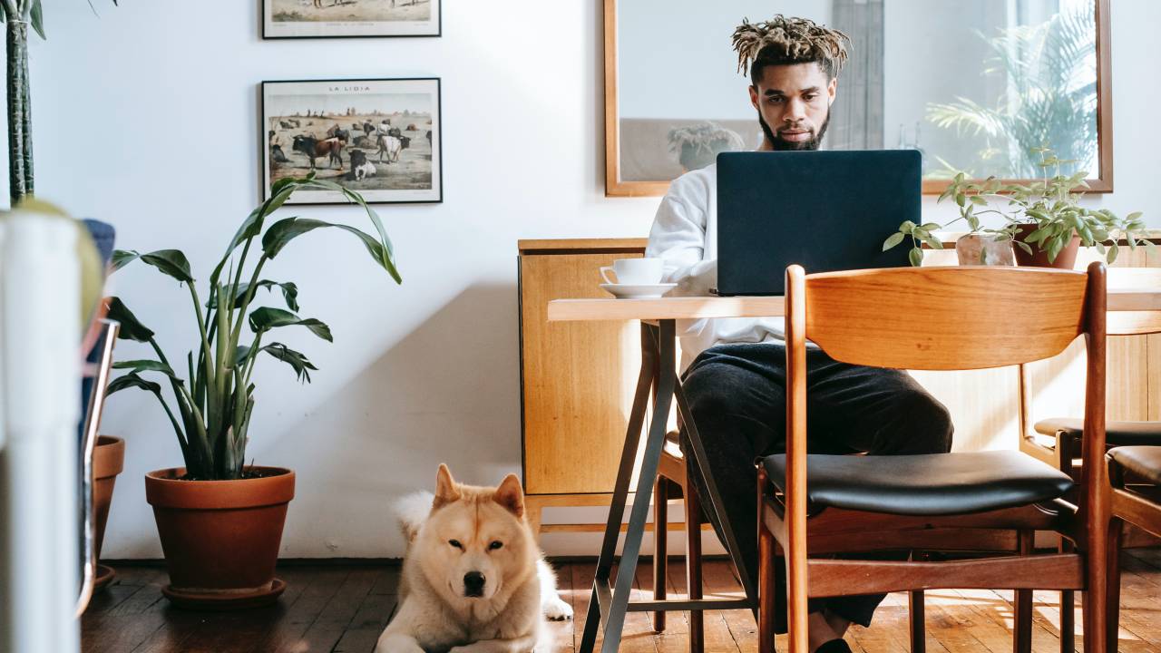 Imagem mostra um homem negro em uma sala de estar com um cachorro ao lado trabalhado em um notebook. Ao seu lado, no chão, está um cachorro grande, de cor bege, deitado