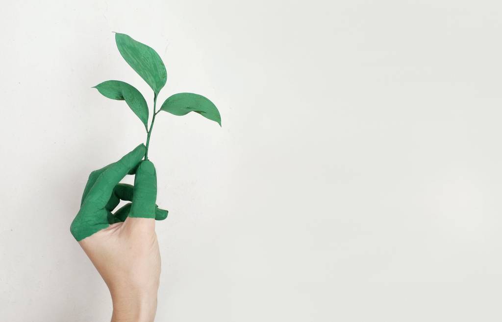 Imagem mostra uma mão pintada de verde, sobre um fundo branco, segurando um broto de planta