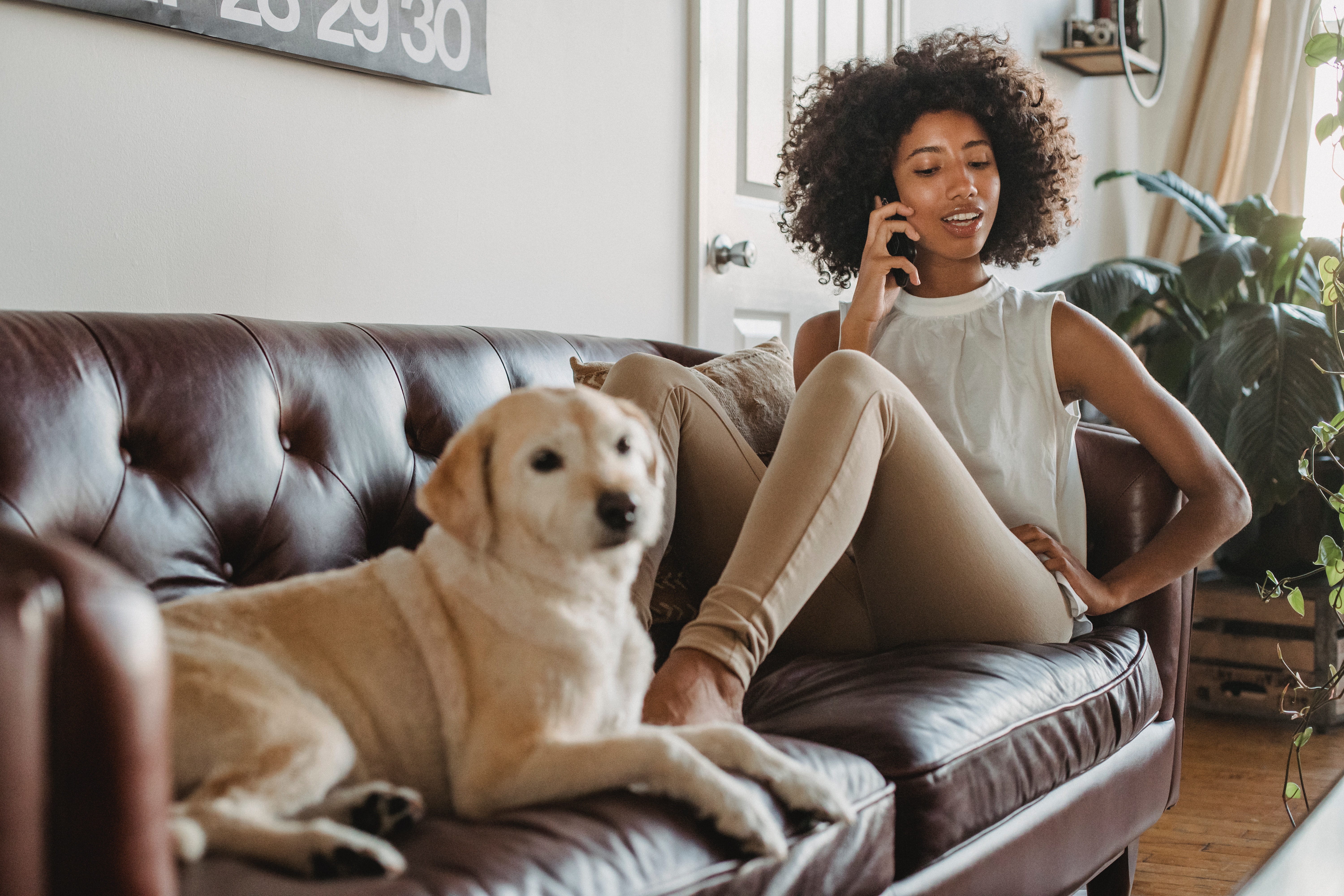 Imagem mostra uma mulher negra, de blusa branca e cabelos escuros cacheados. Ela está em um sofá, ao lado de um cachorro bege, falando no celular.