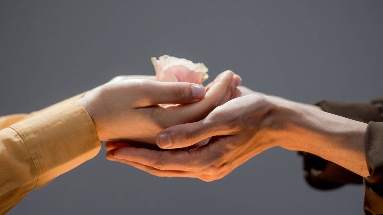 Imagem mostra duas mãos juntas, oferecendo uma rosa para outra pessoa. A outra pessoa também está com as mãos estendidas, juntas, segurando a rosa