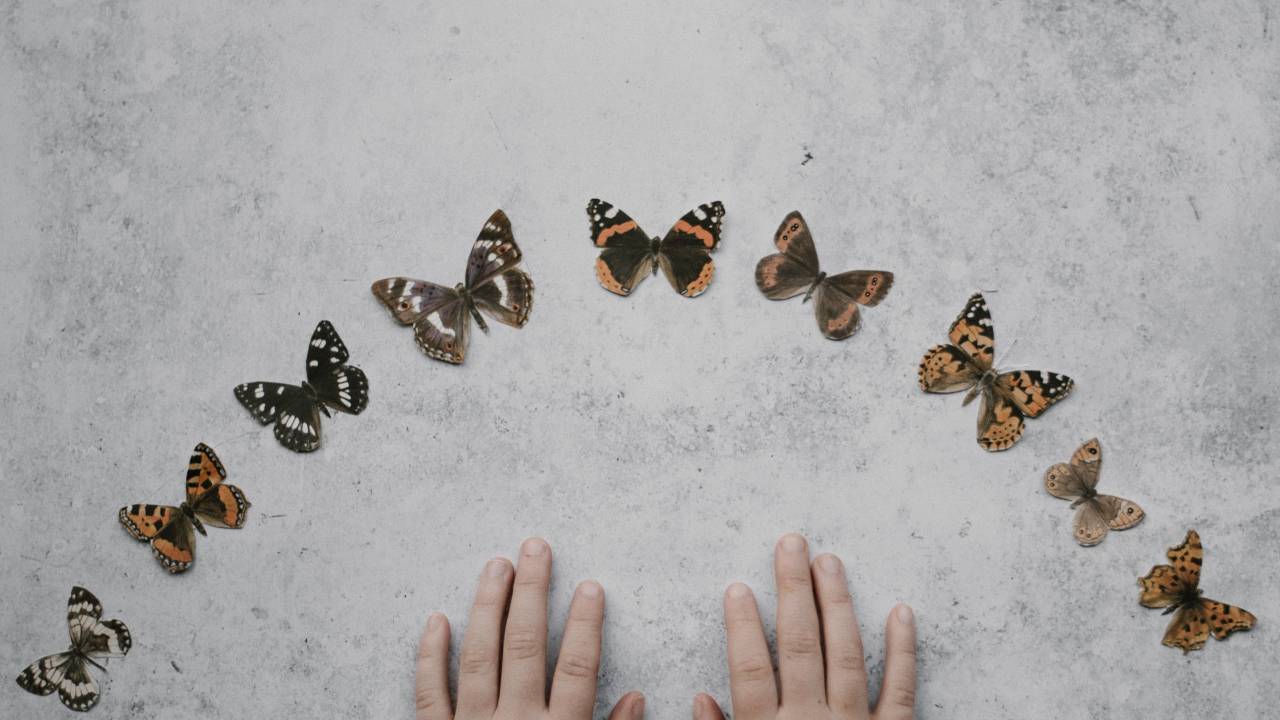 A imagem mostra duas mãos rodeadas por nove borboletas