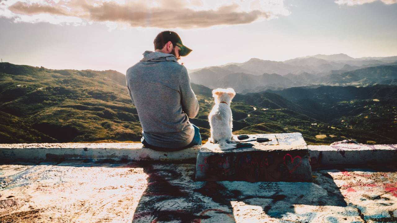 Um homem está no pico de uma montanha ao lado de seu cachorro, que é branco e peludo