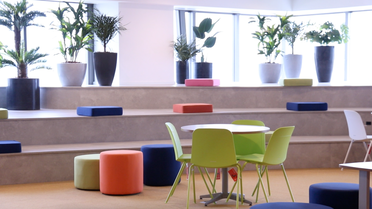 Novo espaço da ClearSpace tem vasos de plantas, janelas, puffs e cadeiras coloridas