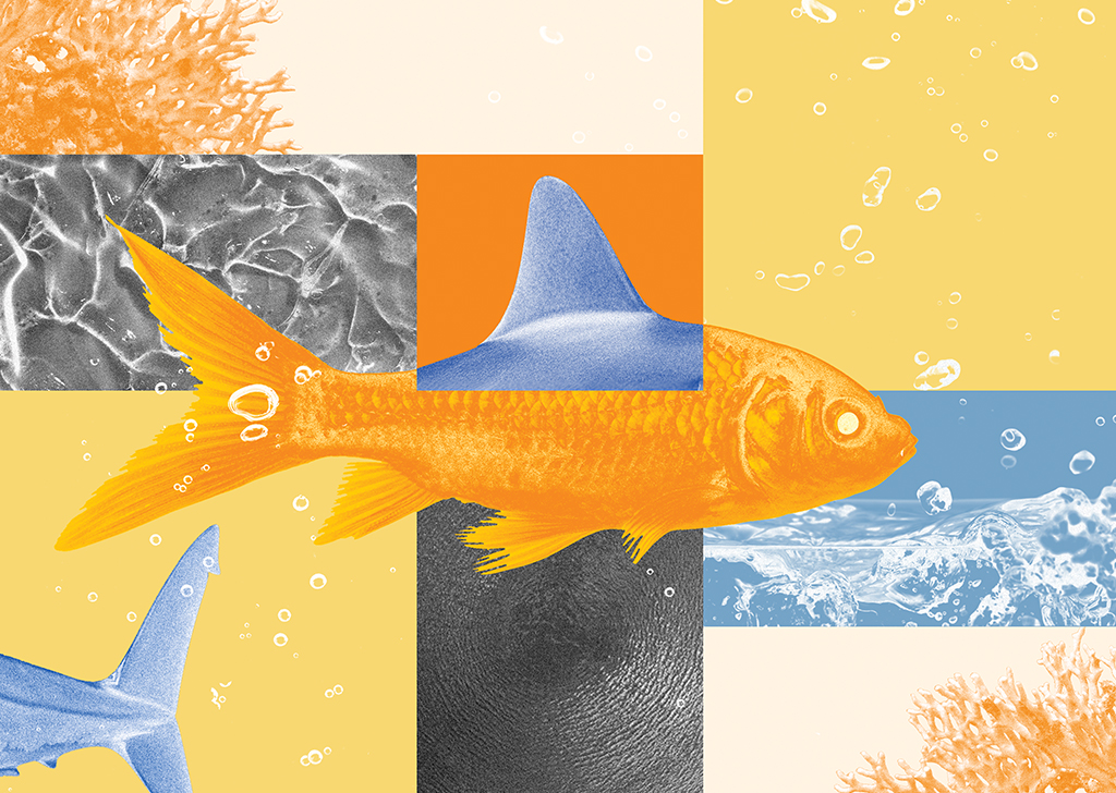 Síndrome do impostor: a ilusão de inferioridade