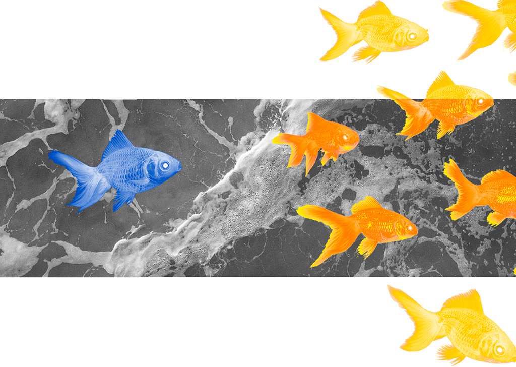 Imagem de um cardume na qual um peixe azul aparece à esquerda, afastado dos demais. No fundo, há uma fotografia do oceano.