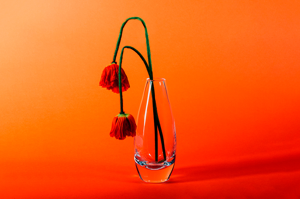 Duas flores murchas em um vaso de flor de vidro em um cenário laranja