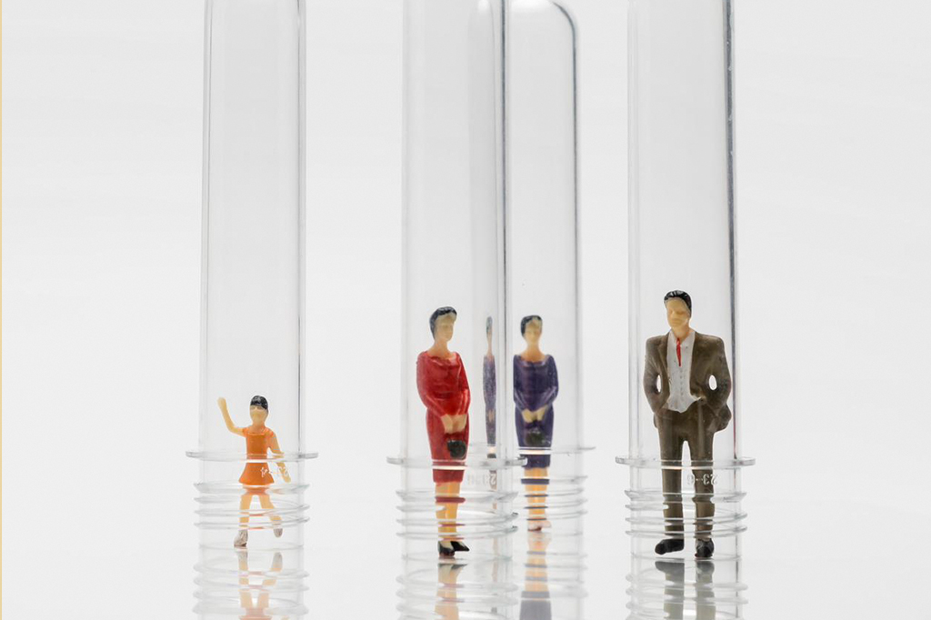 1311-vocerh-geracoe-site